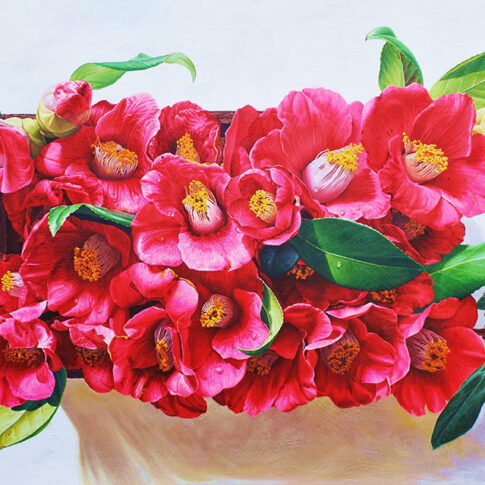 조현수, 동백, 91×116cm, oil on canvas, 2024