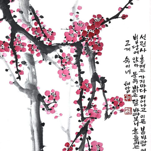 이성기, 선린사홍매, 50x70cm, color on korean paper, 2024