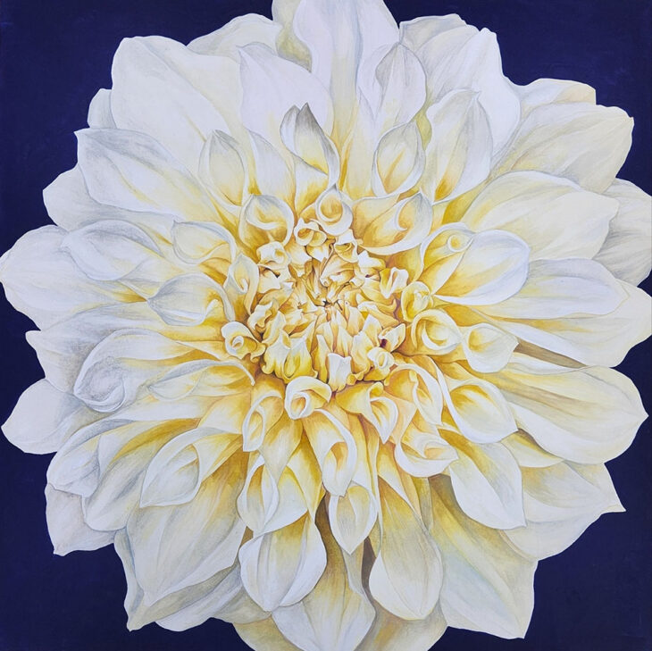 강희영, 다알리아 이미지, 60×60cm, mixed media, 2024