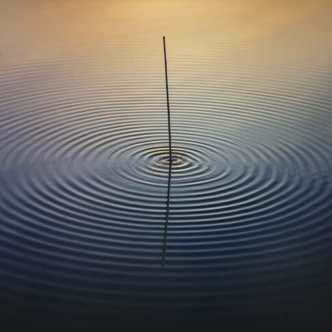 정봉채, 우포의 떨림, Pigmant Print, 2018