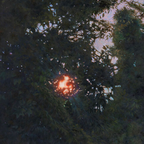 손지원, 지지않는 빛들, 116.8×91.0cm, oil on linen, 2024