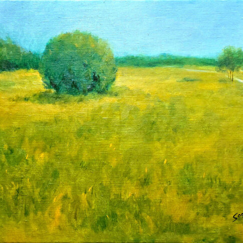 이은숙, Garden Round-Suncheon, Target(IP), 53x40.9cm, Oil on Canvas, 2024