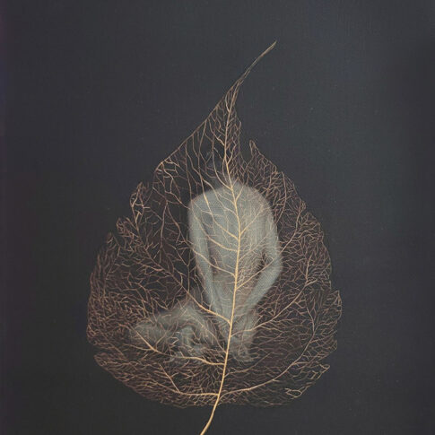 박성아, 스며들다, 35×27cm, oil on canvas, 2024