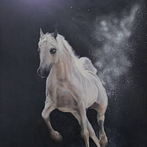 Kim Hae Yong, Dream, Acrylic on canvas, 116.7x90.9cm