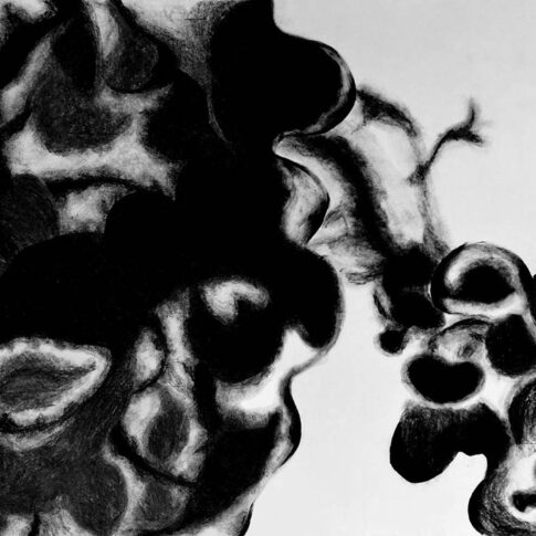 김예지, 생명성, 215×300cm. Charcoal on hanji, 2023