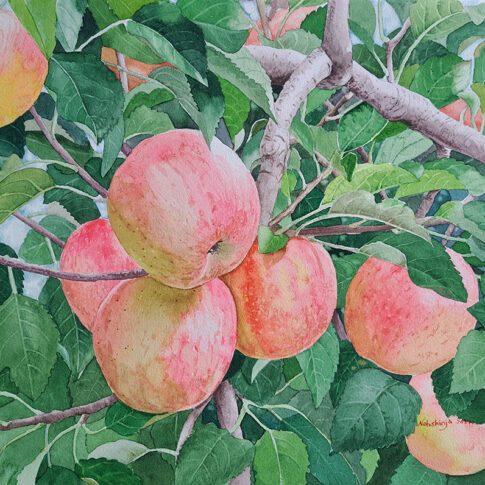 Noh Shin Ja, The scent of Summer, 40.9x31.8cm, watercolor on paper, 2024