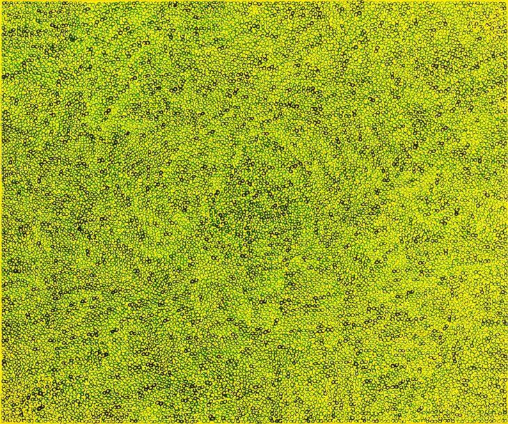 임희진, 숲속의 봄 내음, 91×116.7cm, gouache and watercolor on whatman paper, 2025