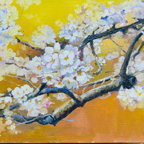 김미영, Comfort, 90.9x60,6cm, Oil on canvas, 2025