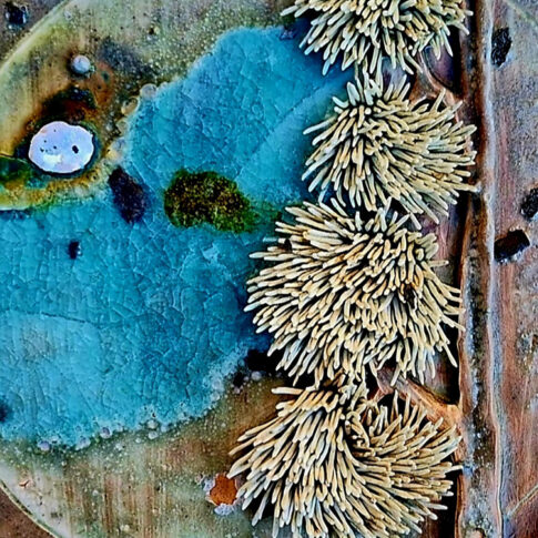 Han Kabsoo, Memory hangari, 50×50cm, Muan terre, 2025