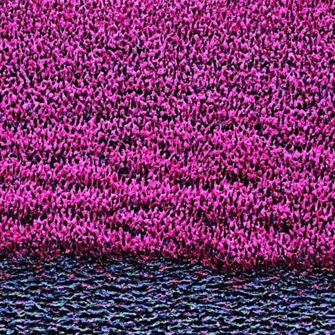 우미경, 갯벌 위 찬란한 생명, 40.9×53cm, acrylic on canvas, 2025