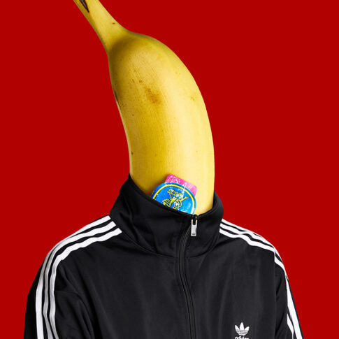 김세희, If it, 42×29.7cm, photography digital print, 2023