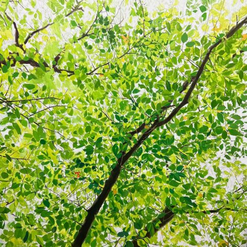 문미순, 풍연심 風憐心, 50S