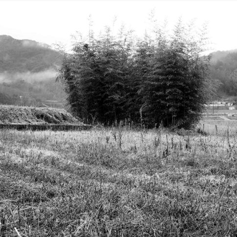 이철호, 풀-땅 살아있는 소멸, 26x37cm, pigment print, 2024