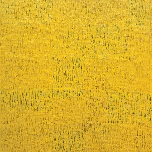 정선, 훨훨날다, 65.1×80.3cm, acrylic on canvas, 2025