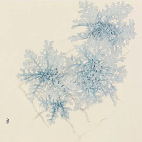 Jeongyeon Jeon, Windows and Crevices – Dusty Miller, 53.0×53.0cm, color on Korean paper, 2015
