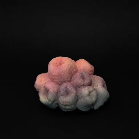 Kim Myeongjin, What Remains 04, 14.0×12.0×10.0cm, airbrush and stitching on sponge, 2026