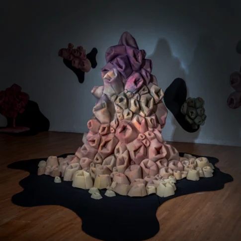 Kim Myeongjin, Bearing the Weight, 200.0×280.0×220.0cm, airbrush and stitching on sponge, 2025