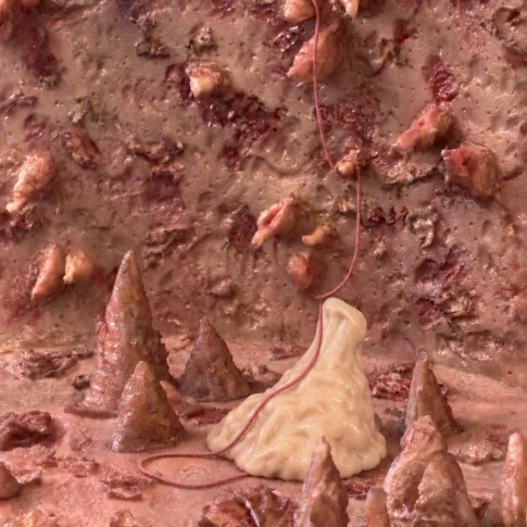Myeongjin Kim, Skin-Ego 3, 10 sec, stop-motion video, color, sound, 2026